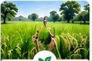 खेती-किसानी